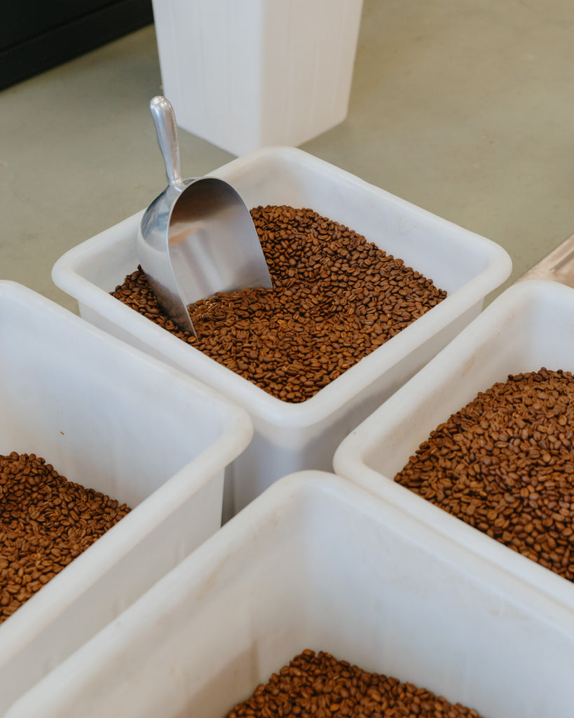 Fair trade coffee beans roasted by Common Ground.